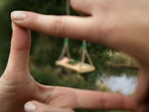 Une fleur flétrie reprend vie