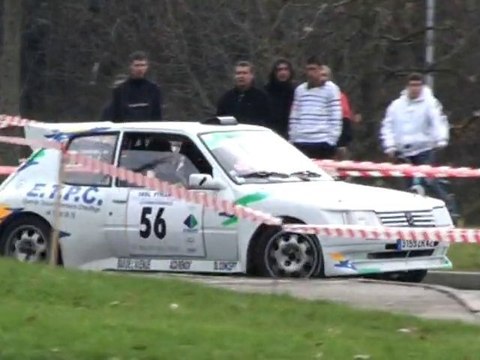 telethon chambon-feugerolles 2010