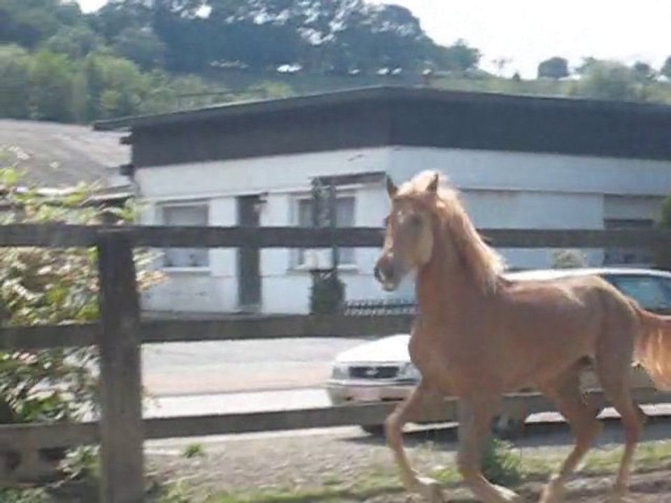 Kaizer laché en piste :p