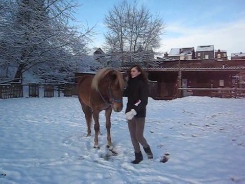 Ethologie, et petit jeux avec Kaizer