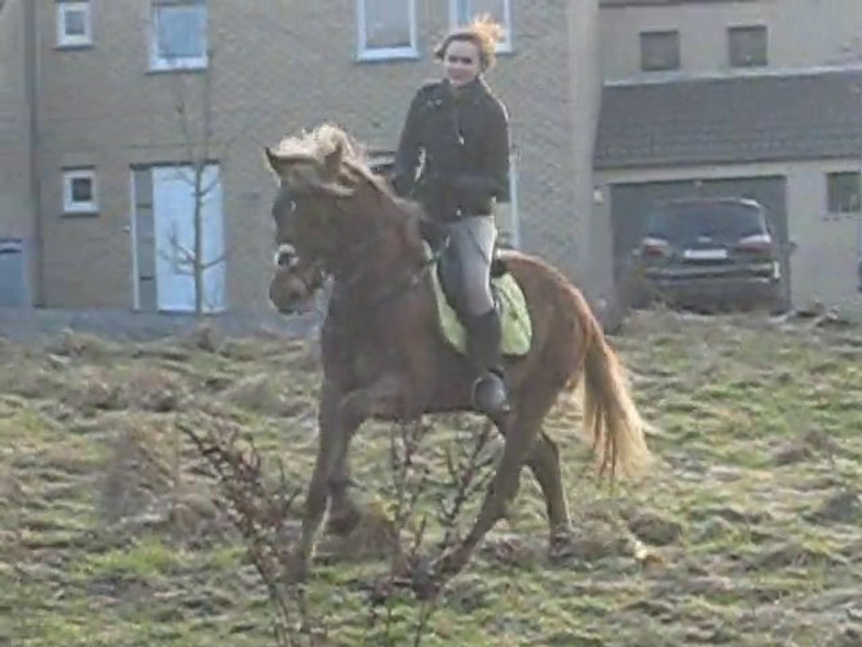 Kaizer galop prérie du coin. (2)