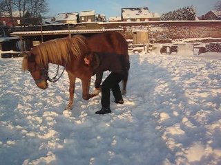 Révérance de Kaizer