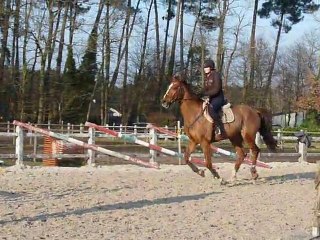 Magic oxer