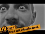 Dicton n°7 : petit à petit, l'oiseau fait son nid