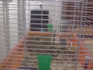 Pequeñas