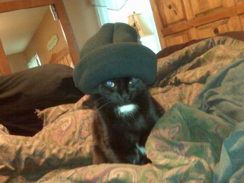 512-350-1129. Carpet Cleaning Cedar Park. 78613`