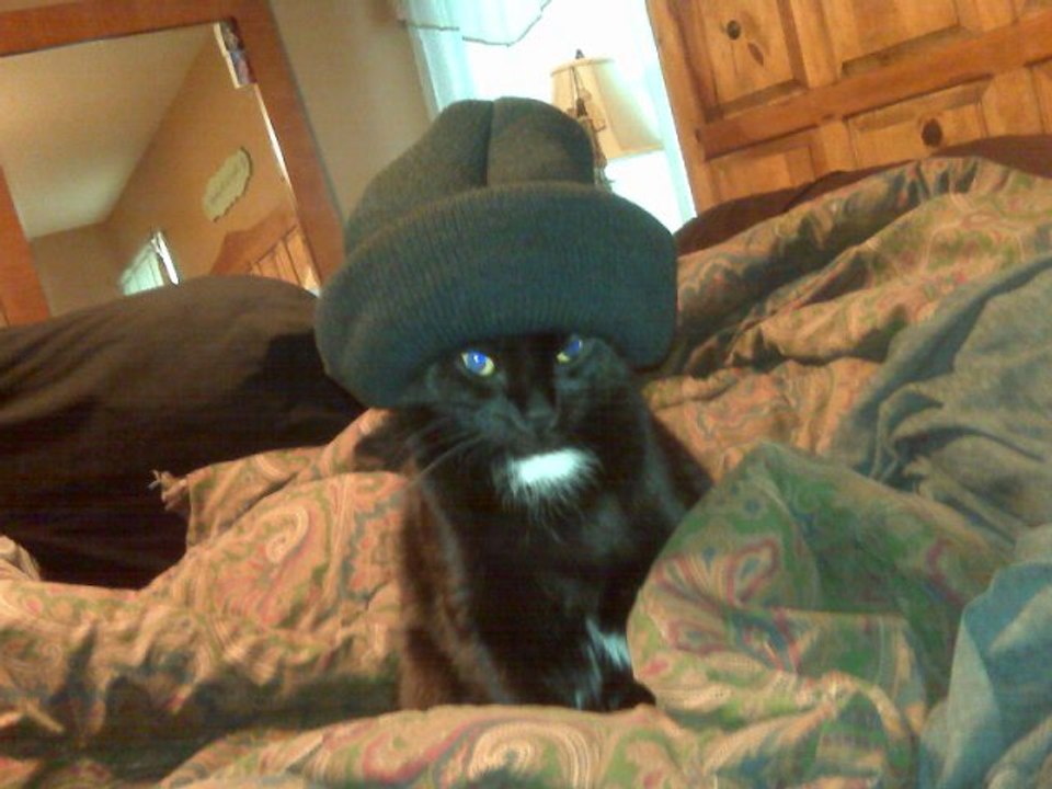 512-350-1129. Carpet Cleaning Cedar Park. 78613]