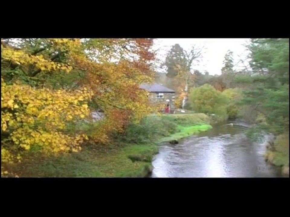 Autumn 2010 # 18