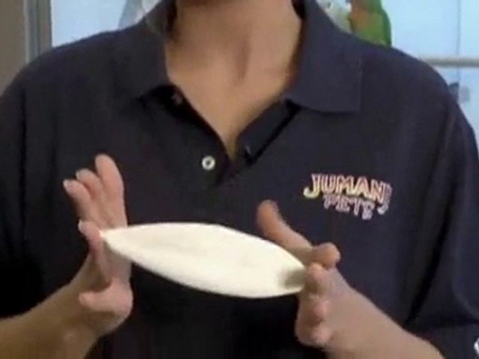 How To Choose Canary Food