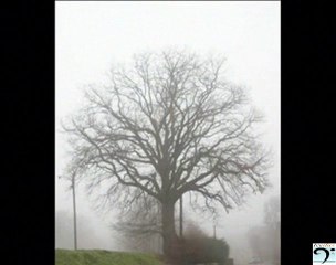 Zedek Mouloud - A weltma ...