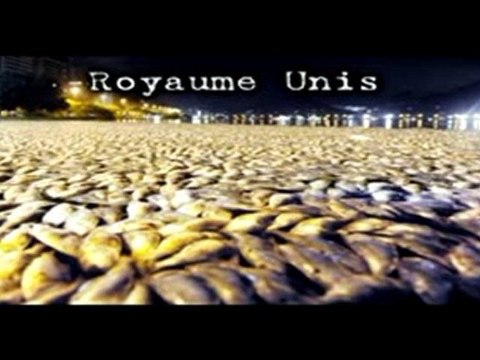 LA MORT , bientot notre tour ? _ Georgia Guide Stones 1