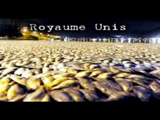 LA MORT , bientot notre tour ? _ Georgia Guide Stones  1