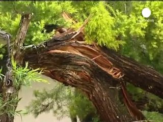Cyclone Yasi wreaks havoc but no deaths