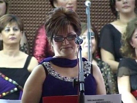 Dsi Türk Müziği Topluluğu - MELTEM GÜRBÜZ