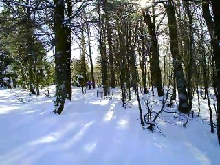 MERCREDI 2 FEVRIER LA BRESSE ASPA DANS LES BOIS