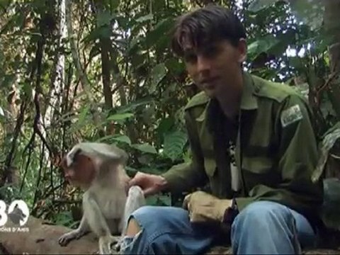 Le français qui sauve les gibbons