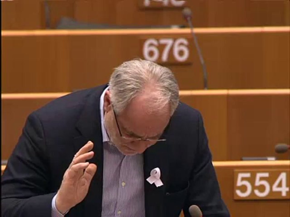 Ivo Vajgl on Situation in Tunisia and Egypt