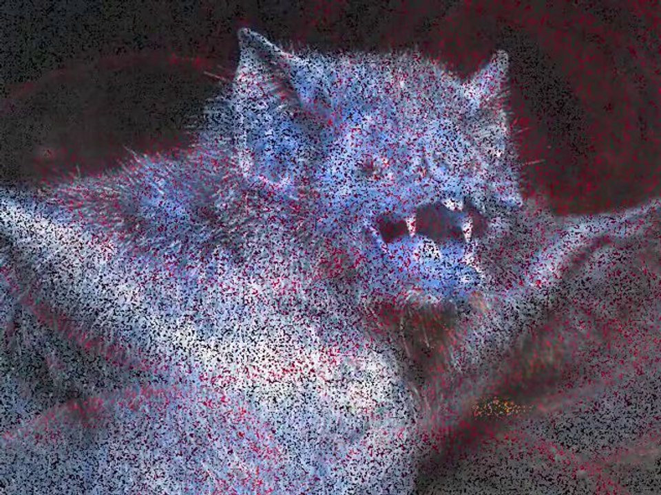 Le sang qui coule dans tes veines 2011jpsm