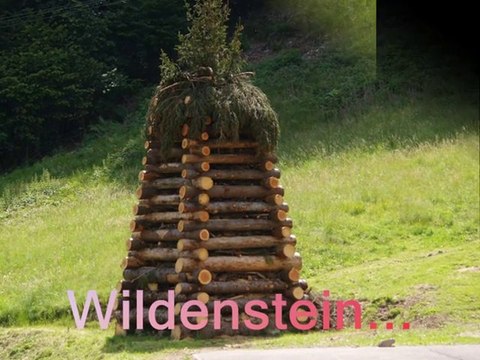 Feux de la St Jean 2010 Vallée de St Amarin