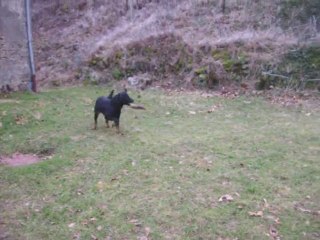 ballade matinale février 2011