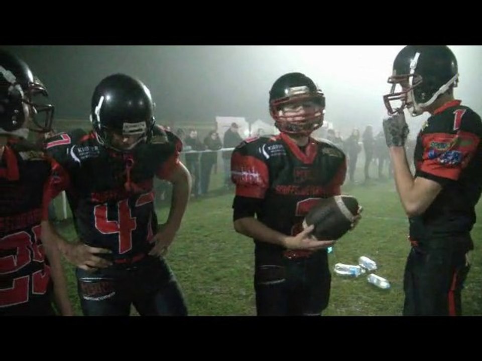 GEANT 6 -15 Bisons