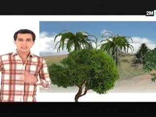 تعيش نهار تسمع اخبار : الخميس 3 فبراير