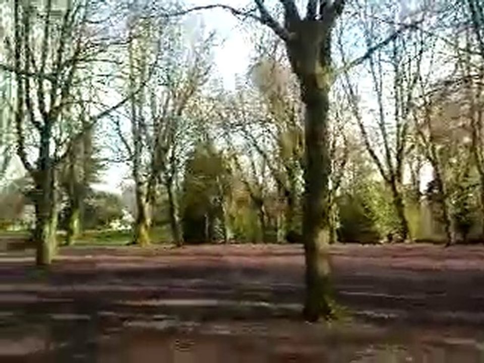 parc charle bertin a Douai - janvier 2011