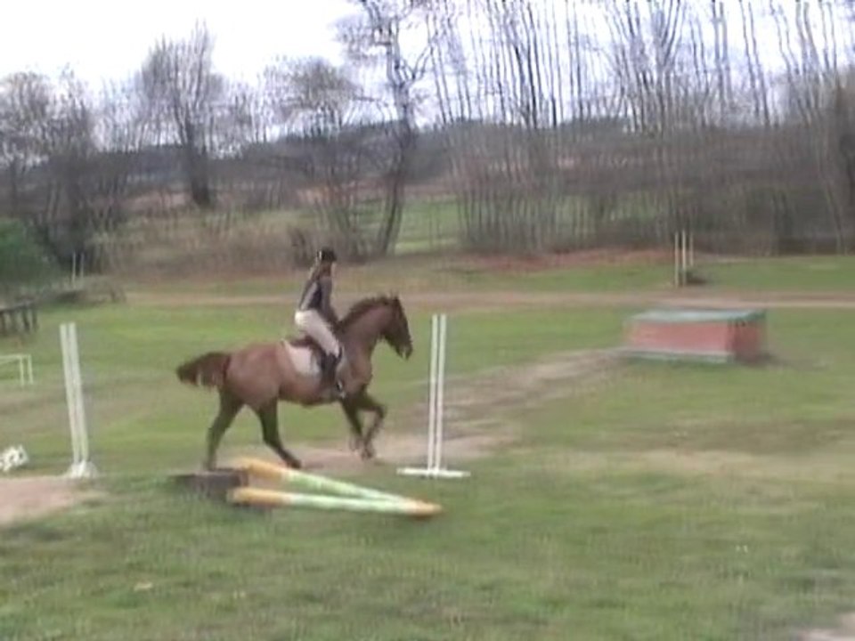 2011.01.16 Cross