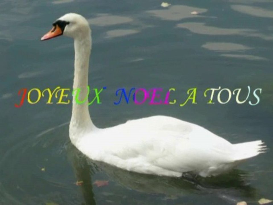 Noël