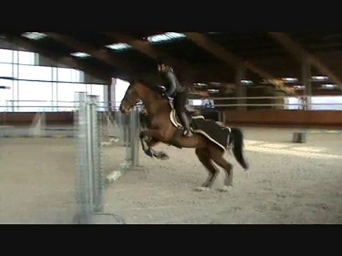 qualité galop et enchainement 1er groupe