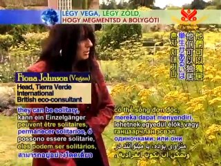 The Buzz About Bees: Nature's Superworkers - P1/2