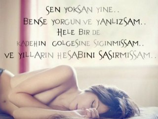 Gripin - Erol Evgin - icimdeki firtina