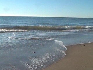 La plage de la grande maire - Sérignan - février 2001