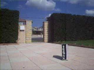 ollie par dessu boite de chaussure lever