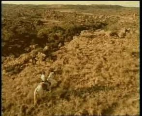 Clever Strategies for Success