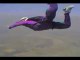 Skydive Tricks