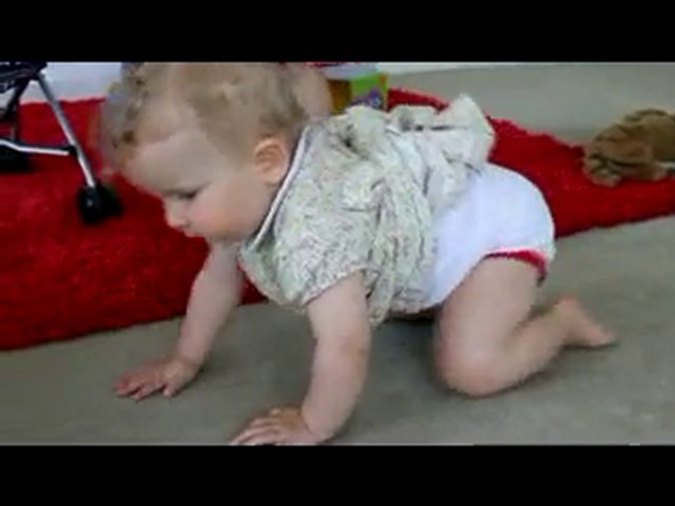 Premiers pas a 4 pattes Papillou