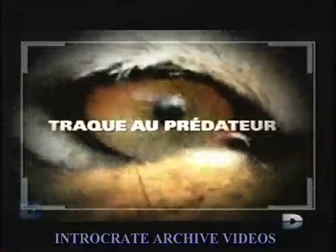 Traque au Prédateur, La Traque du Buffle - 1 de 3