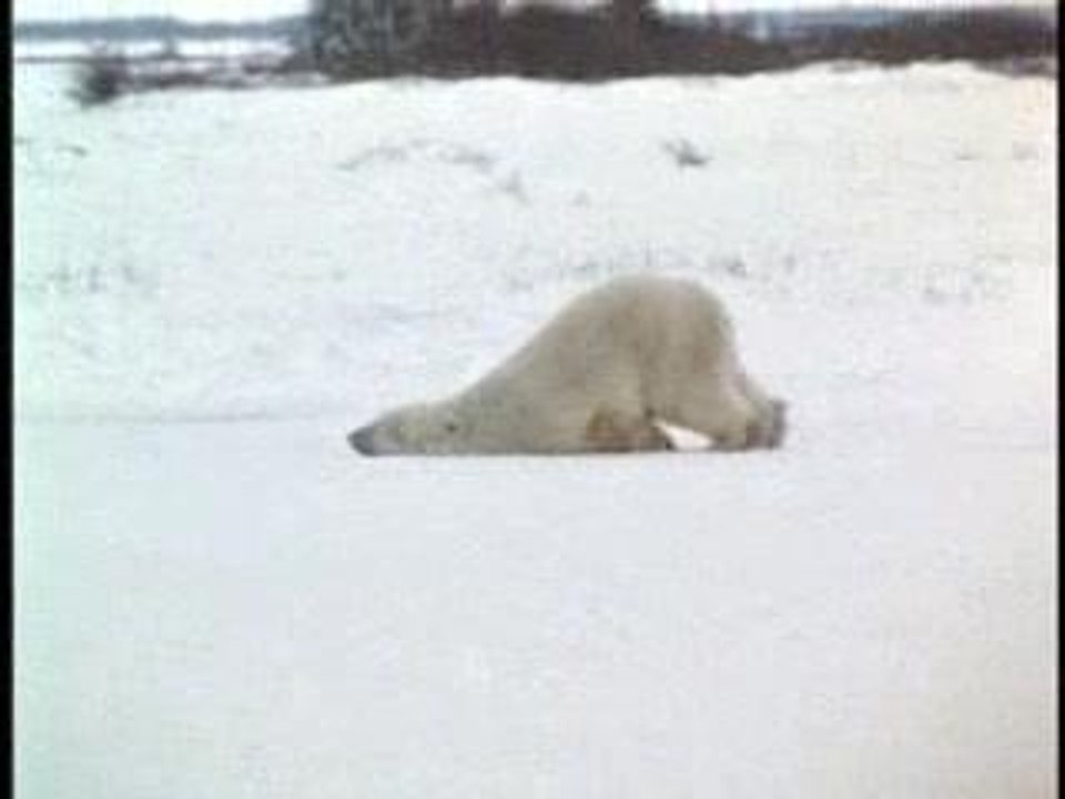 GoingtoworkMonday