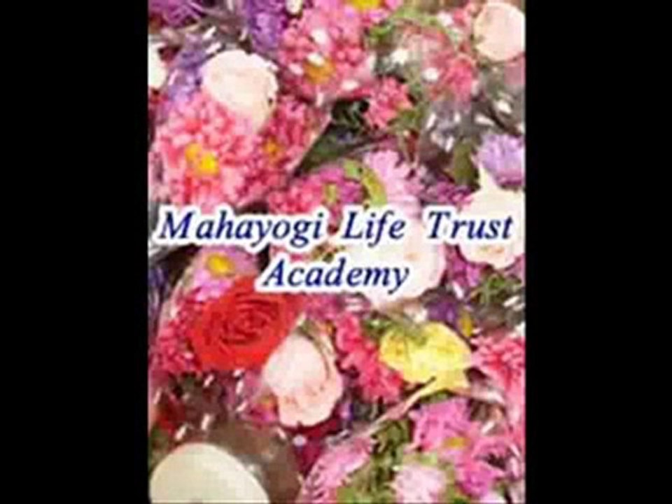 Holistic Life Counseling Life Care Psychology Programs