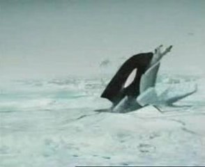 Ice Fishing In Alaska