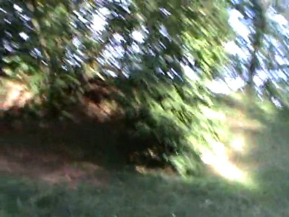 séance escaliers, descente, plat