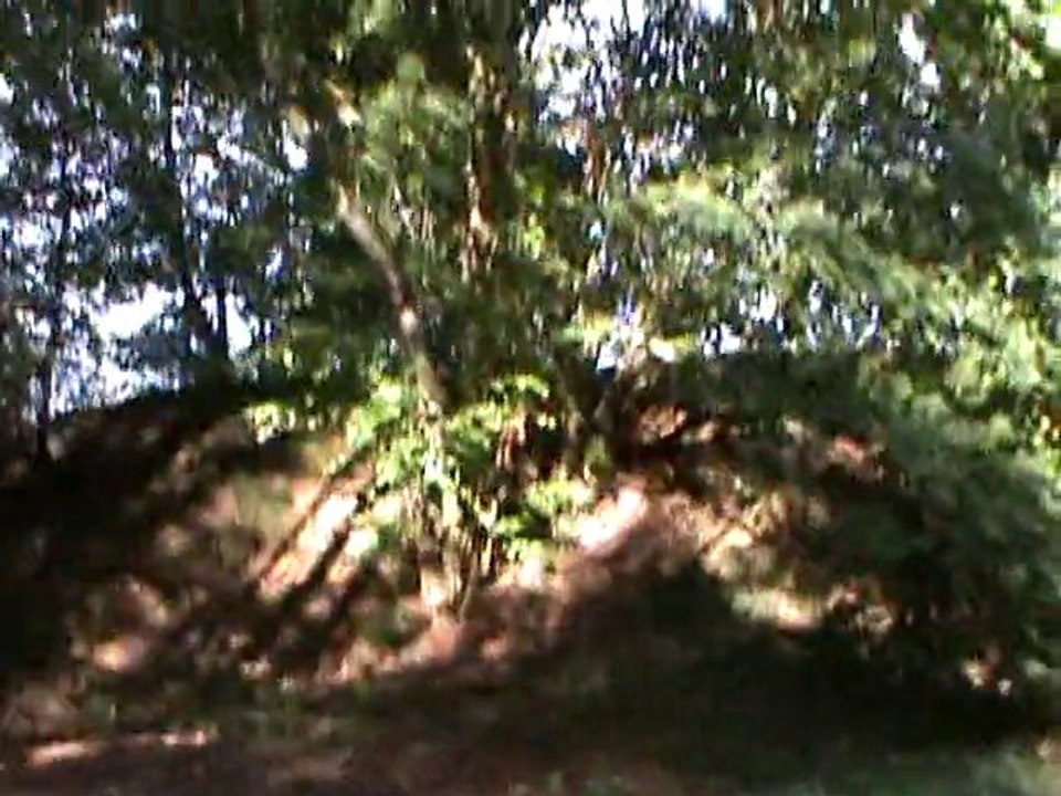 récup trot escalier descente plat