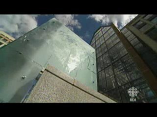 Brevetage du vivant 1de3 / Monsanto Pur Porc