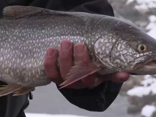 Lac Blanc, une expédition au sommet - 2ème partie