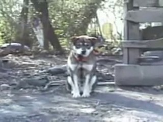 Free Me / Libère Moi