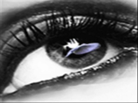 degmezmis sana (GULLU)