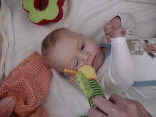 éclats de rire abeille