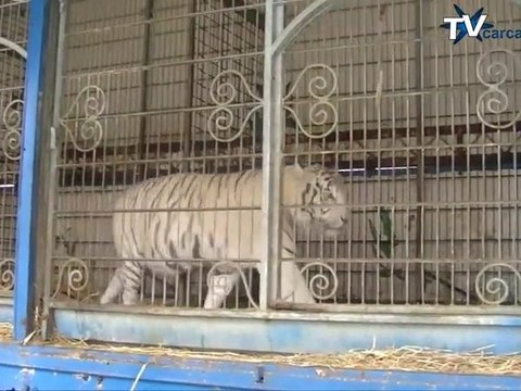 16H00 INFOS : Journal d’informations de Carcassonne 04 02 11