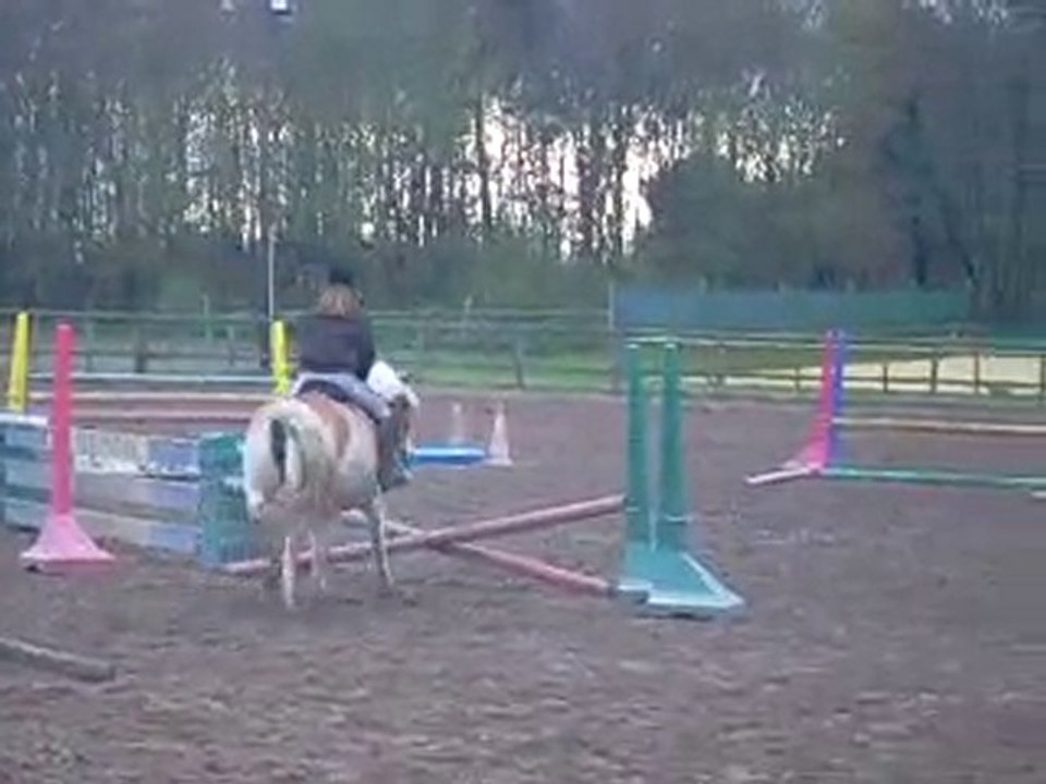 cours de saut d'obstacle